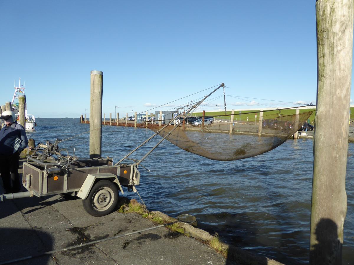 Ferienwohnungen Im Osterkoog Nordstrand Esterno foto